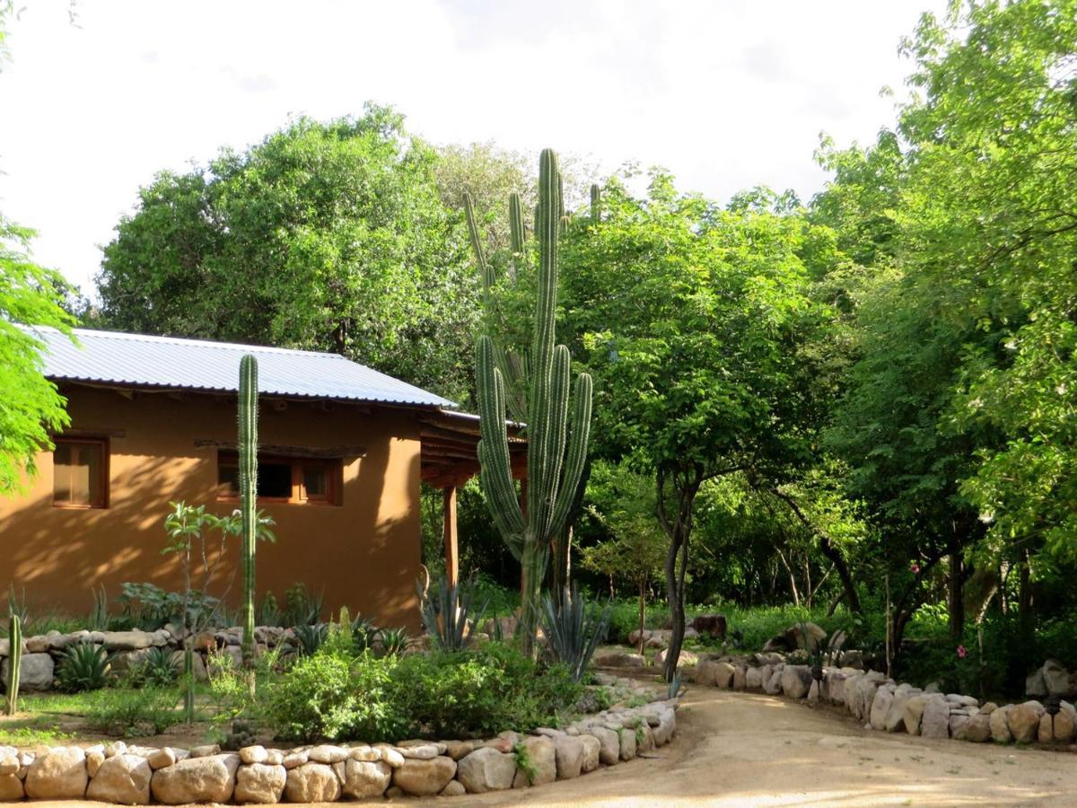El Pedregal - Hotel En La Naturaleza Álamos Exteriör bild